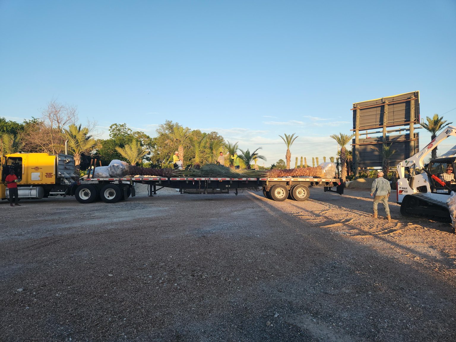 Chuys Landscaping (19)